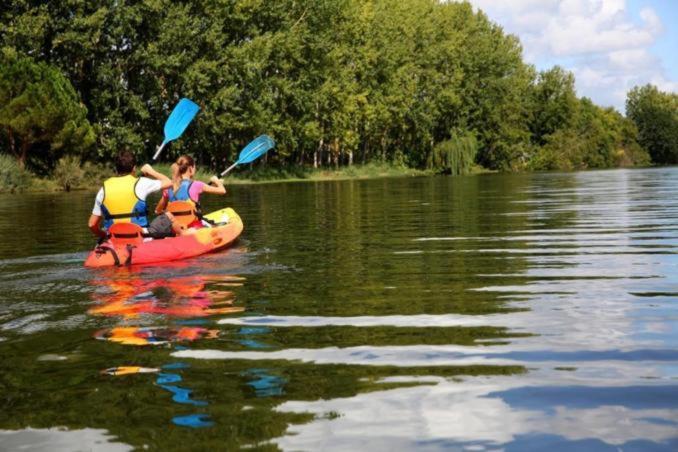 Le Scandinave, Proche Bord De Loire Orlean Zewnętrze zdjęcie