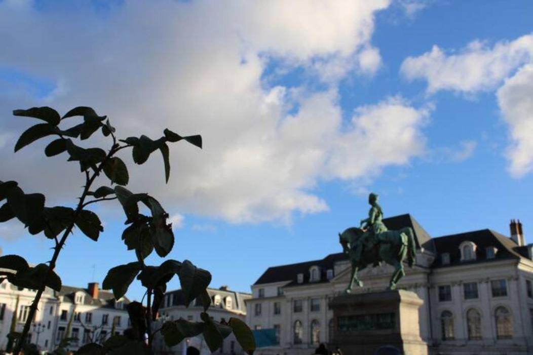 Le Scandinave, Proche Bord De Loire Orlean Zewnętrze zdjęcie