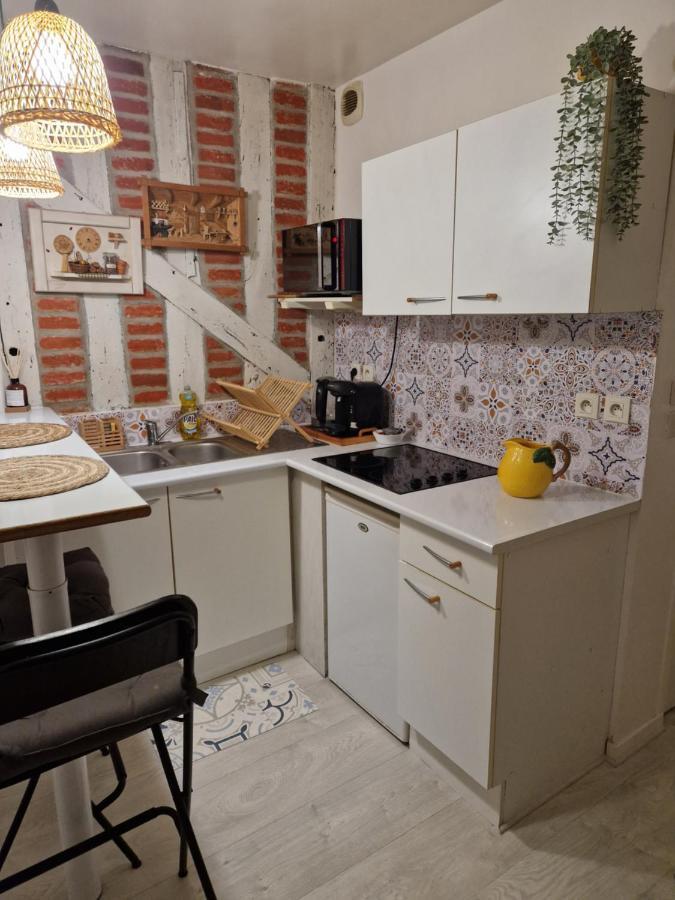 Le Scandinave, Proche Bord De Loire Orlean Zewnętrze zdjęcie